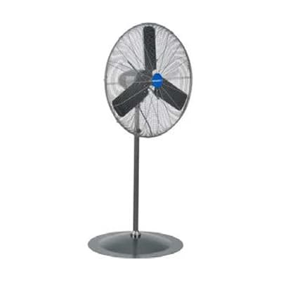 Pedestal Fans