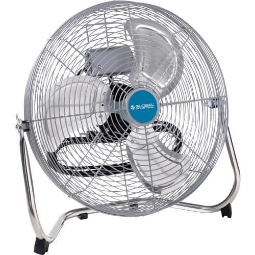 Fans