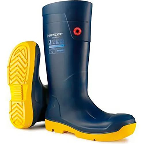 Footwear