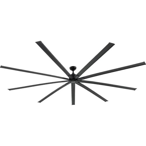Ceiling Fans