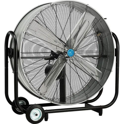 Fans