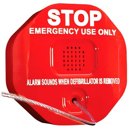 Anti Theft Alarms