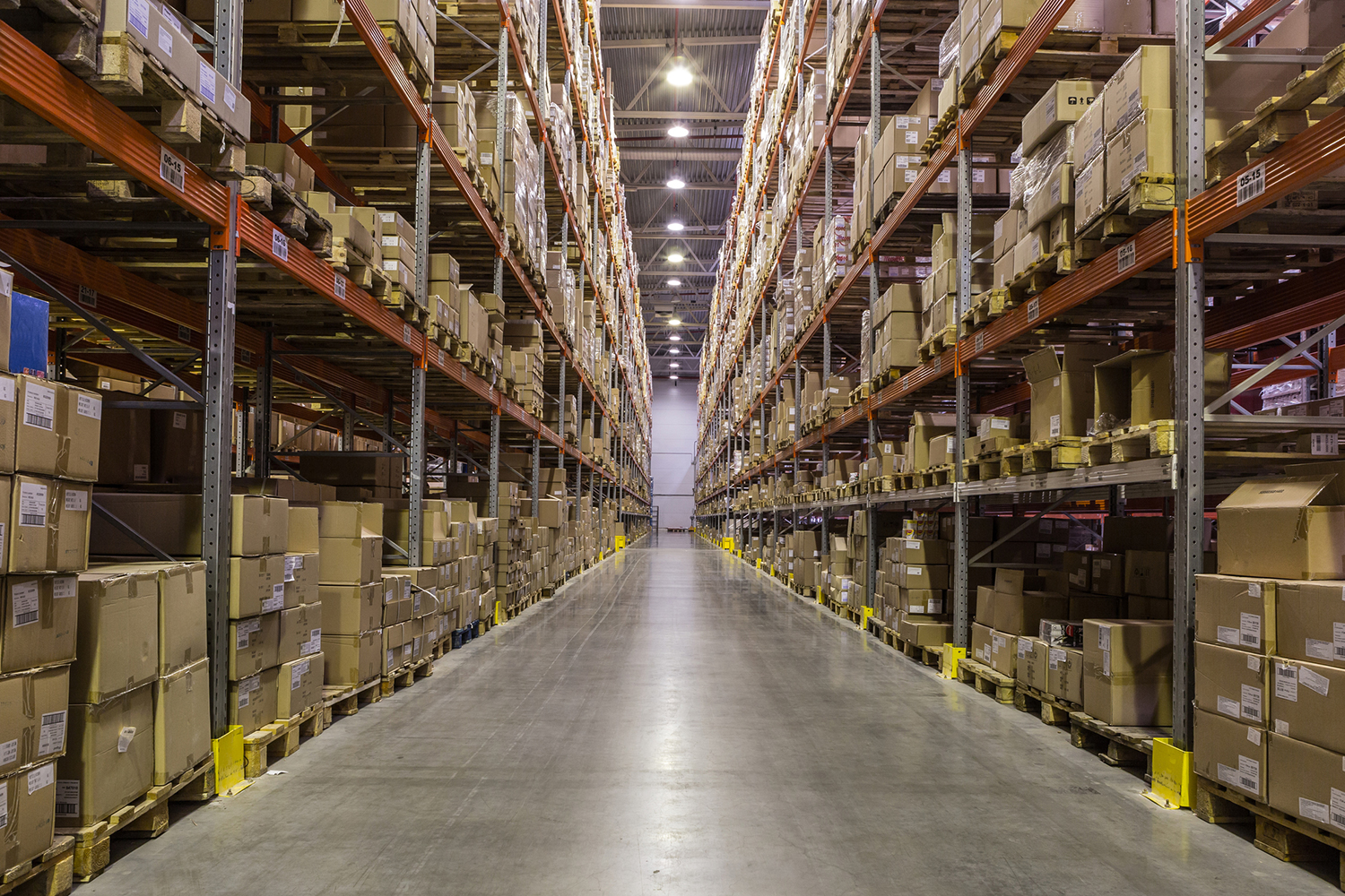 Your Storage, Your World: How to Make Warehouse Storage Work for You